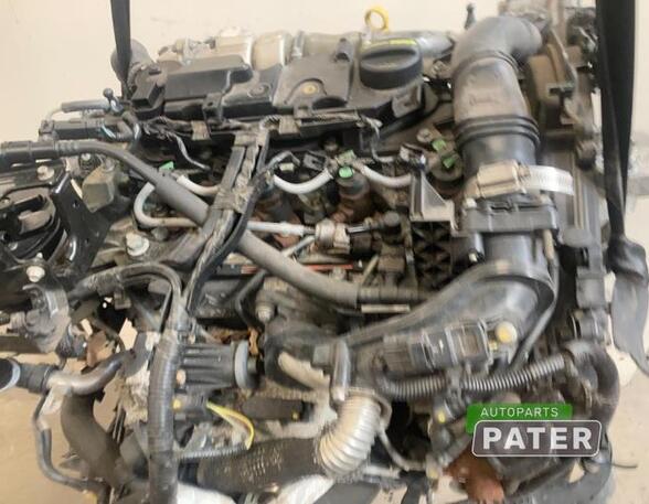 Motor kaal FORD FIESTA VI (CB1, CCN)