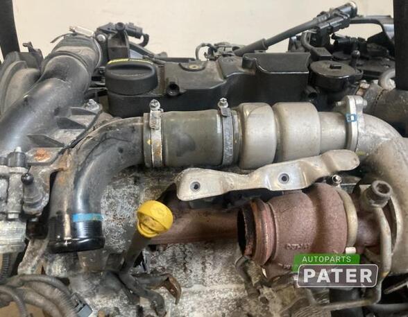 Motor kaal FORD FIESTA VI (CB1, CCN)