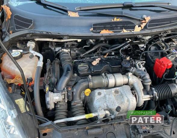 Motor kaal FORD FIESTA VI (CB1, CCN)