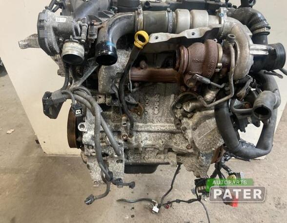 Bare Engine FORD FIESTA VI (CB1, CCN)