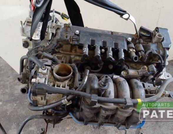 Bare Engine FIAT GRANDE PUNTO (199_), FIAT PUNTO EVO (199_), FIAT PUNTO (199_)