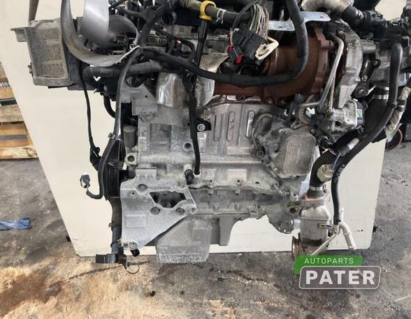 Bare Engine FORD FOCUS IV Turnier (HP)