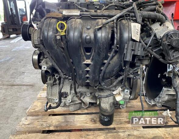 Bare Engine FORD FOCUS C-MAX (DM2), FORD C-MAX (DM2)