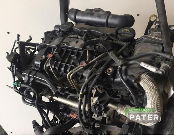 Bare Engine FORD FIESTA VI (CB1, CCN)