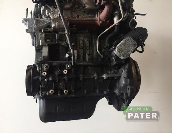 Bare Engine FORD FIESTA VI (CB1, CCN)