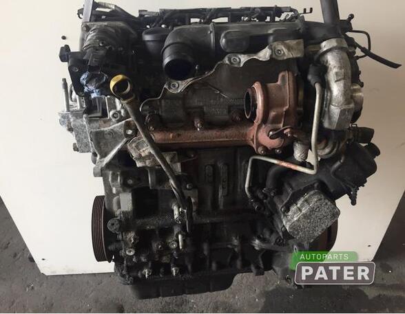 Bare Engine FORD FIESTA VI (CB1, CCN)