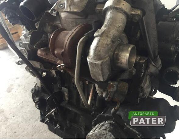 Bare Engine FORD FIESTA VI (CB1, CCN)