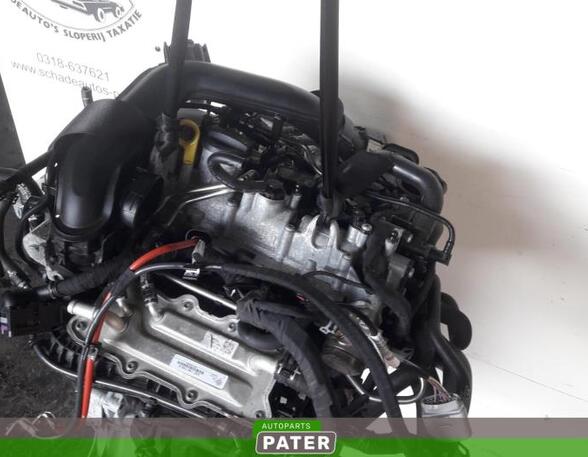 Motor ohne Anbauteile (Benzin) Seat Ibiza IV 6J  P10580636