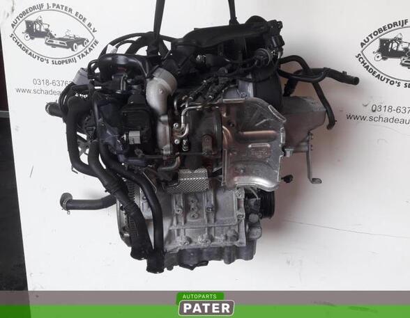 Motor ohne Anbauteile (Benzin) Seat Ibiza IV 6J  P10580636