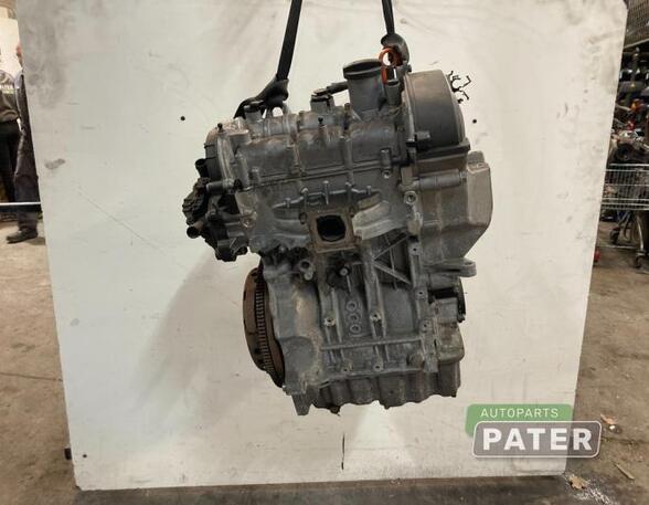 Bare Engine VW UP! (121, 122, BL1, BL2, BL3, 123), VW LOAD UP (121, 122, BL1, BL2)