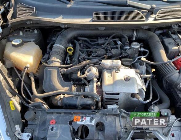 Motor kaal FORD FIESTA VI (CB1, CCN)