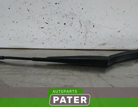 Wiper Arm VW GOLF VI (5K1), VW GOLF V (1K1), VW GOLF VAN VI Variant (AJ5), VW GOLF VI Van (5K1_)