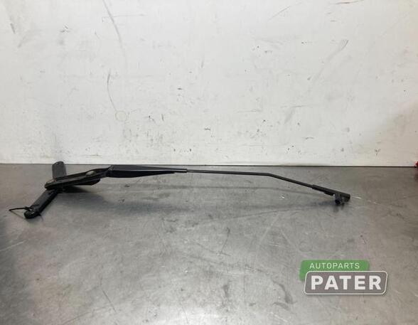 Wiper Arm FORD FOCUS C-MAX (DM2), FORD C-MAX (DM2), FORD KUGA I, FORD KUGA II (DM2)