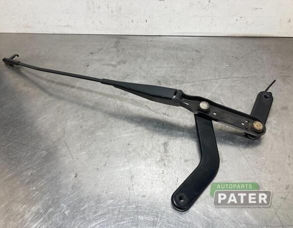 Wiper Arm FORD FOCUS C-MAX (DM2), FORD C-MAX (DM2), FORD KUGA I, FORD KUGA II (DM2)