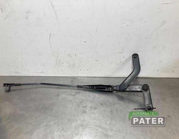 Wiper Arm FORD FOCUS C-MAX (DM2), FORD C-MAX (DM2), FORD KUGA I, FORD KUGA II (DM2)