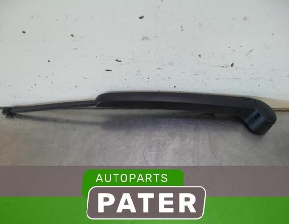 Wiper Arm AUDI A1 (8X1, 8XK), AUDI A1 Sportback (8XA, 8XF)