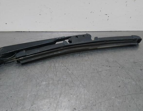 Wiper Arm FORD FOCUS C-MAX (DM2), FORD C-MAX (DM2), FORD KUGA I, FORD KUGA II (DM2)