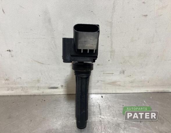 Ignition Coil VW UP! (121, 122, BL1, BL2, BL3, 123)