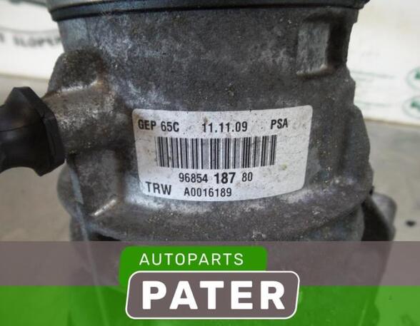 Power steering pump CITROËN C4 PICASSO I MPV (UD_), CITROËN C4 GRAND PICASSO I (UA_)