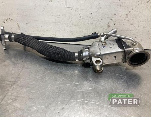 Koeler voor EGR FORD FOCUS IV Turnier (HP)