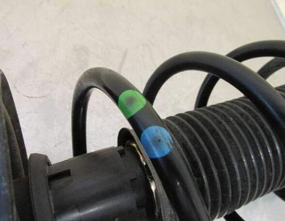 Suspension Strut VW Golf IV (1J1)