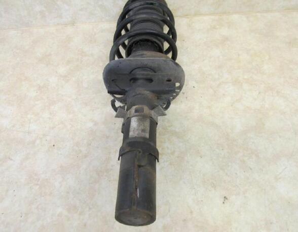 Suspension Strut SKODA Roomster (5J)