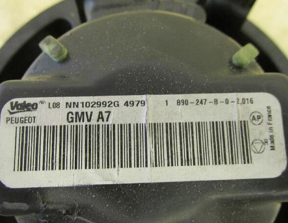 Interior Blower Motor PEUGEOT 207 (WA, WC)