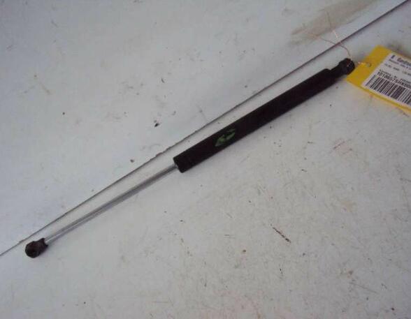 Gas Spring RENAULT Clio II (BB, CB)