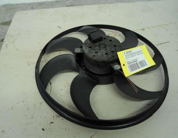 Radiator Electric Fan  Motor RENAULT Kangoo (KC0/1)