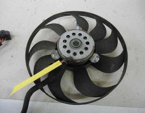 Radiator Electric Fan  Motor VW Golf IV (1J1)