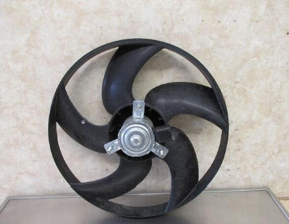 Radiator Electric Fan  Motor PEUGEOT 206 CC (2D)