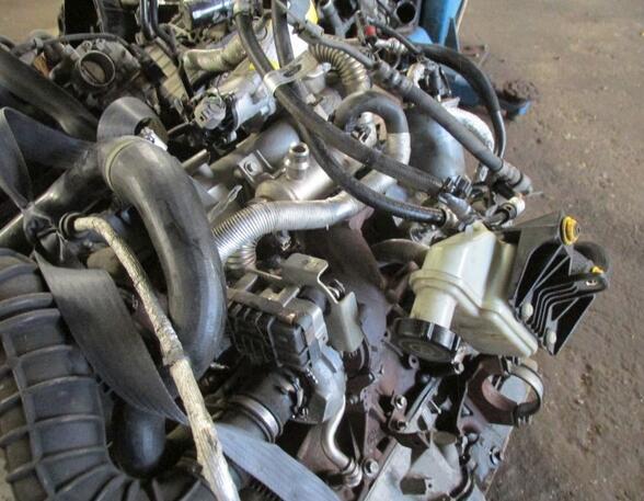 Motor kaal FORD TRANSIT CONNECT (P65_, P70_, P80_)