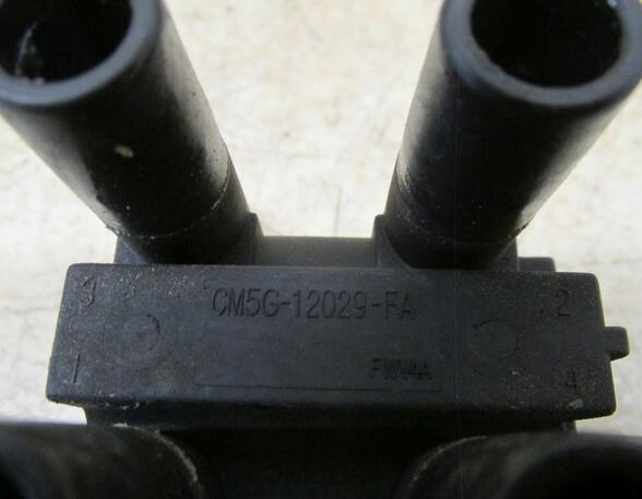 Ignition Coil FORD Fiesta VI (CB1, CCN)