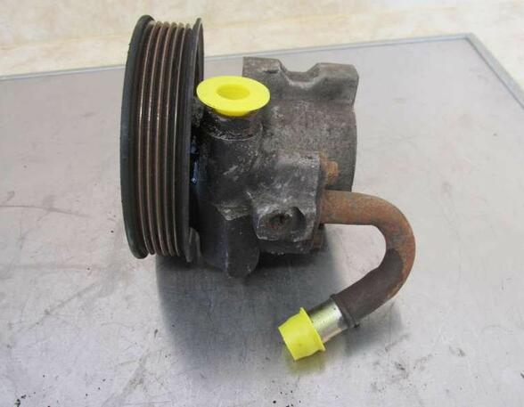 Power steering pump CHEVROLET Aveo/Kalos Schrägheck (T200), DAEWOO Kalos (KLAS)