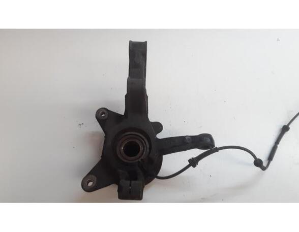 Stub Axle RENAULT Kangoo Express (FW0/1)