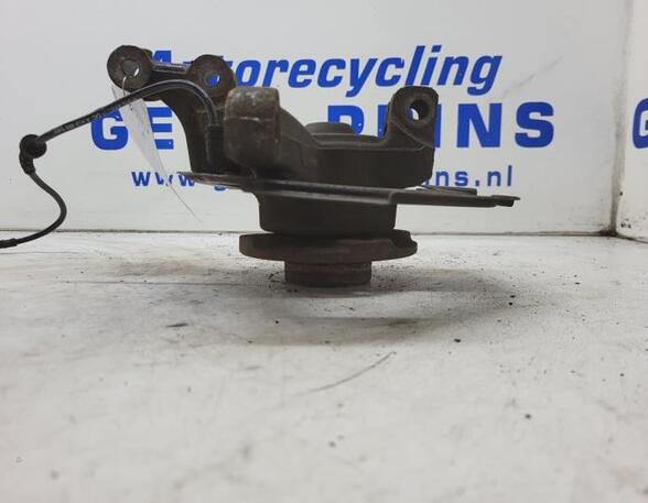 Stub Axle RENAULT TWINGO III (BCM_, BCA_)