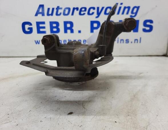 Stub Axle RENAULT TWINGO III (BCM_, BCA_)