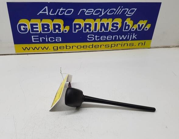 Antenne Dach Toyota RAV 4 IV A4  P12135116