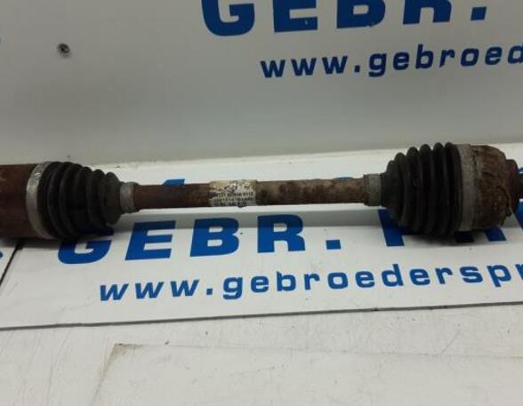 Antriebswelle links vorne Renault Clio III BR0/1, CR0/1 8201055669 P19511378