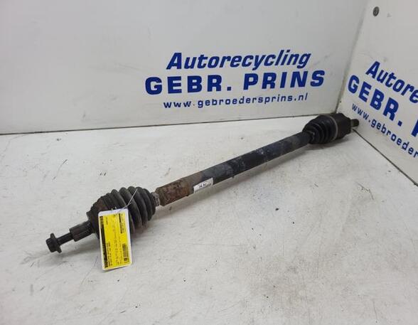 Drive Shaft VW GOLF PLUS (5M1, 521)