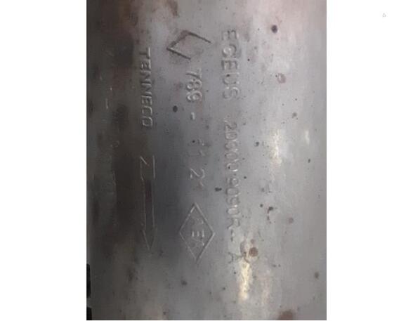 Diesel Particulate Filter (DPF) RENAULT TRAFIC III Van (FG_)