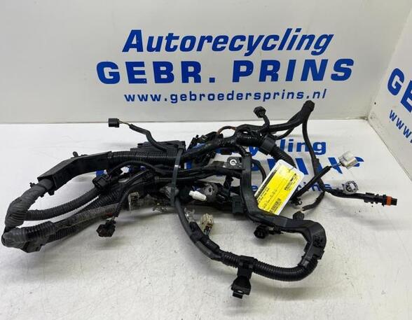 Wiring Harness TOYOTA Aygo (B4)