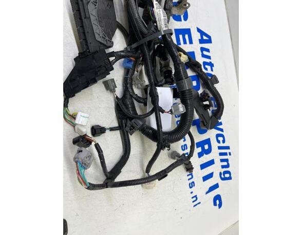 Wiring Harness TOYOTA Aygo (B4)