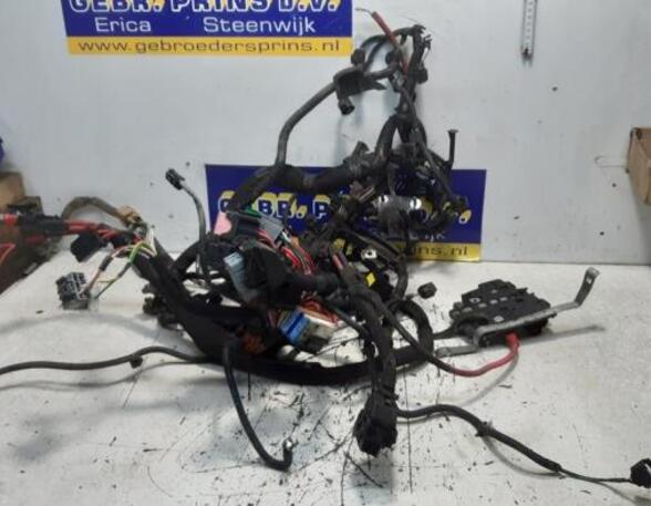 Wiring Harness RENAULT KANGOO Express (FW0/1_)