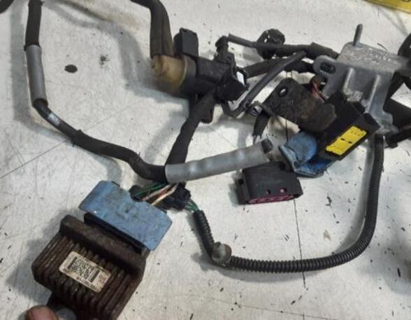 Wiring Harness RENAULT KANGOO Express (FW0/1_)