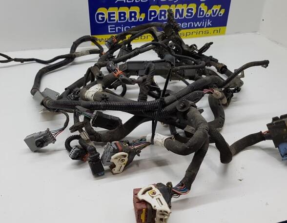 Wiring Harness PEUGEOT 2008 I (CU_)