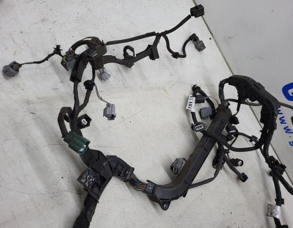 Wiring Harness RENAULT TWINGO III (BCM_, BCA_)