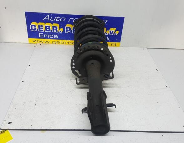 Suspension Strut RENAULT KANGOO Express (FW0/1_)