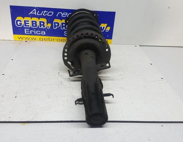 Suspension Strut RENAULT KANGOO Express (FW0/1_)