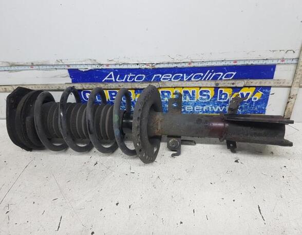 Suspension Strut RENAULT KANGOO Express (FW0/1_)